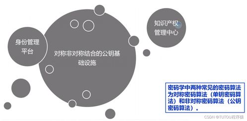 物聯網安全架構、基礎設施與安全軟件開發 構建可信的互聯世界